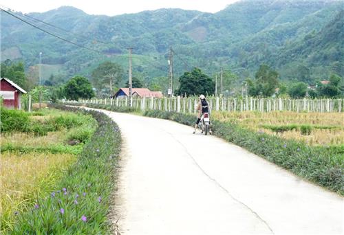 Vì làng quê xanh - sạch - đẹp