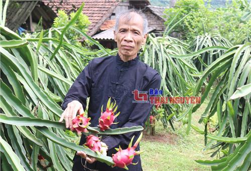 Những cơ ngơi tiền tỷ trên đất cằn
