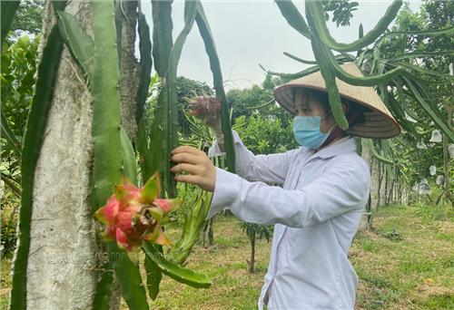 Nông thôn mới kiểu mẫu từ những khu vườn