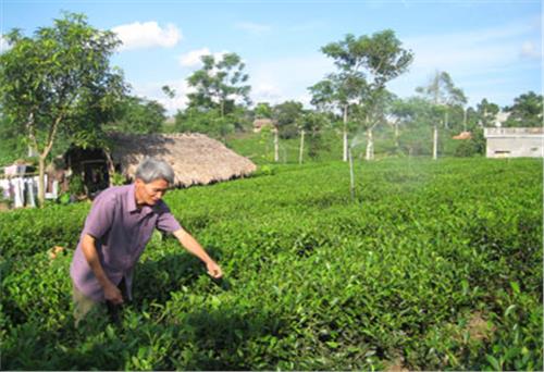 Đất nghèo nuôi chí lớn