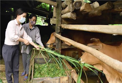 Lâu Thượng nỗ lực giảm nghèo 