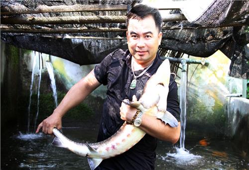 Nuôi cá làm giàu dưới chân núi Voi Đầm