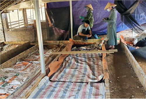 Hỗ trợ mô hình nuôi giun quế, gà an toàn sinh học