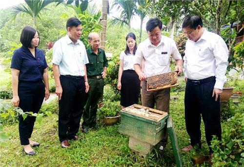 Nỗ lực xây dựng thương hiệu mật ong Ôn Lương