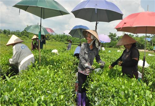 T.P Sông Công đăng ký 12 sản phẩm OCOP
