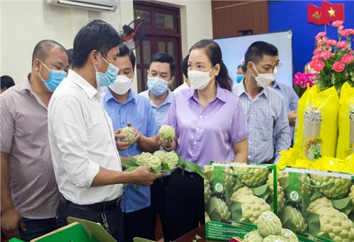 Võ Nhai: 7 sản phẩm được xét duyệt, phân hạng OCOP đợt 1