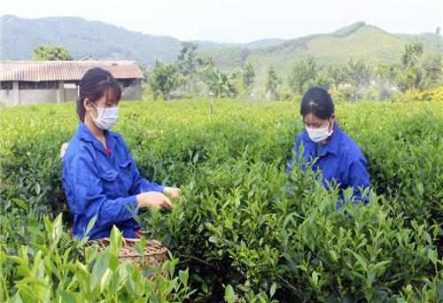 T.P Sông Công: Đề xuất 3 sản phẩm tham gia OCOP cấp tỉnh