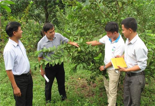 Phát huy vai trò lãnh đạo của Đảng trong xây dựng đội ngũ trí thức (Kỳ 1)