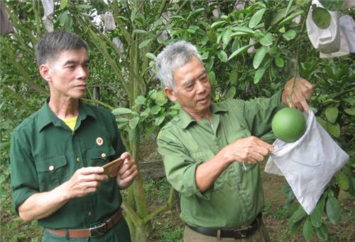  Về Hoàng Nông gặp nông dân sản xuất giỏi