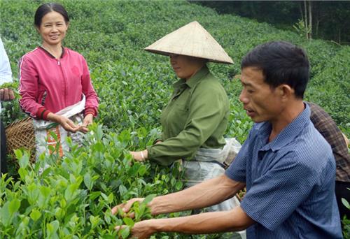 Đơn giản, vì tôi là nông dân