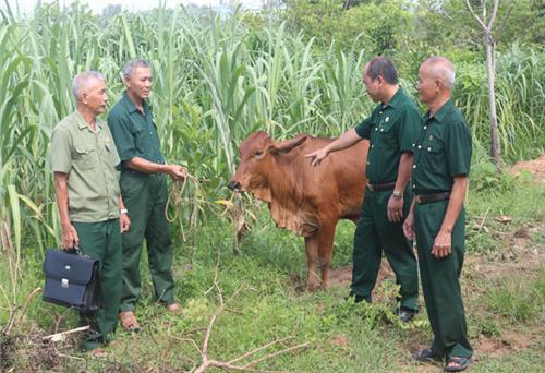 Giữa vạn tấm lòng