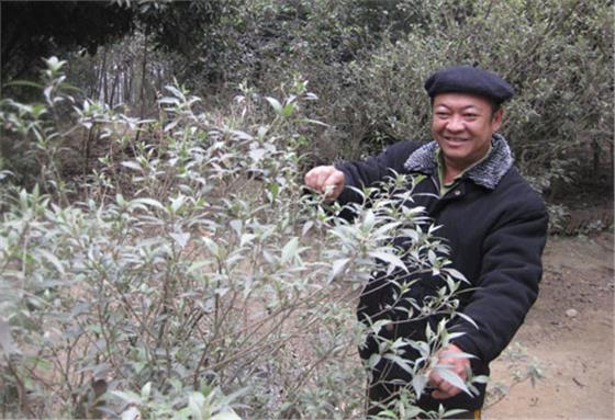 Lặng lẽ cống hiến