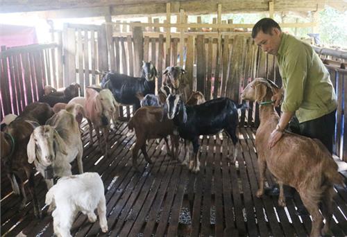 Tỷ phú bên chân đèo Nhâu