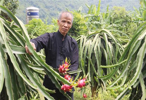 Một nông dân không cam chịu khó nghèo