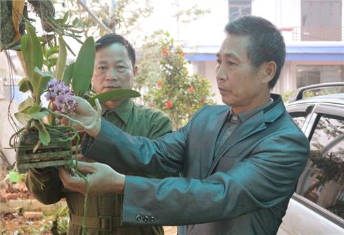 Vì tôi là đảng viên
