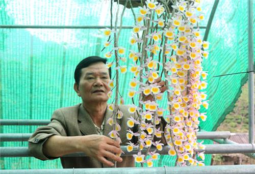 Người đảng viên 