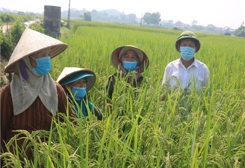 Phú Bình – “cánh chim đầu đàn”