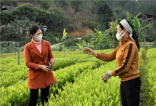 Bước chuyển ở xã vùng cao Nghinh Tường về bình đẳng giới
