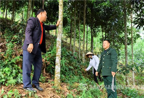 Cựu chiến binh Kim Phượng giúp nhau làm giàu