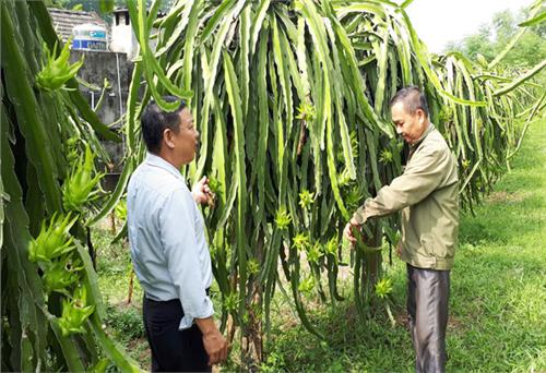 Luôn phát huy tinh thần gương mẫu