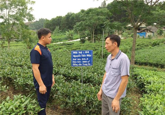 Tiên phong và trách nhiệm với mọi công việc