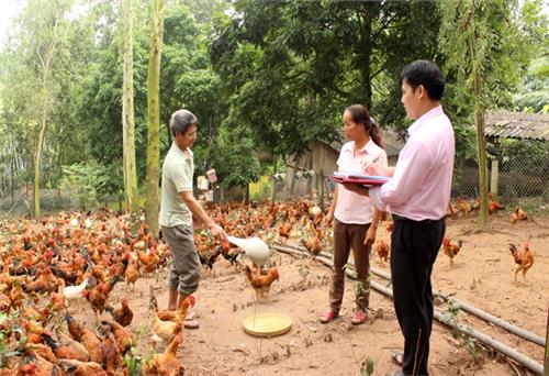 Ngân hàng Chính sách xã hội tỉnh: Nguồn vốn cho vay tăng 6,1%