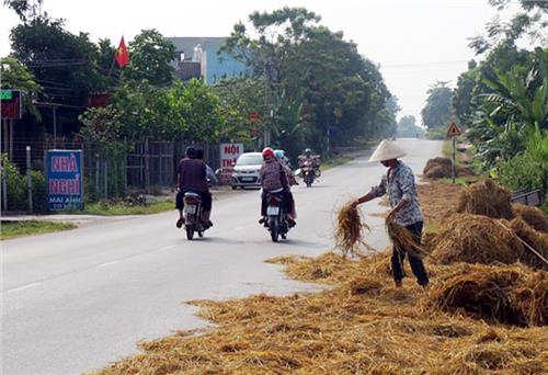 Người dân tuyệt đối không được lấn chiếm đường giao thông để phơi nông sản