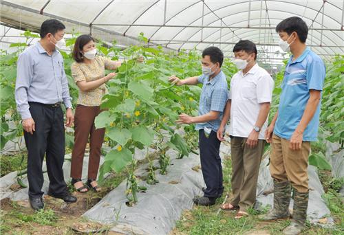 Phú Bình: 100% xã có tổ khuyến nông cộng đồng