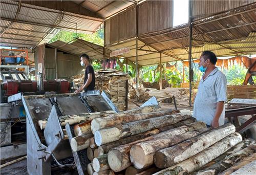 Phấn đấu hoàn thành toàn diện các mục tiêu, nhiệm vụ