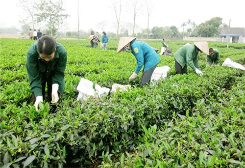 Những tấm gương điển hình làm theo Bác