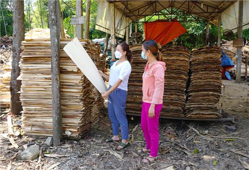 Trợ lực cho phụ nữ vươn lên