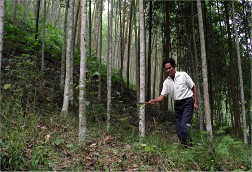 Phú nông ở Vân Hán