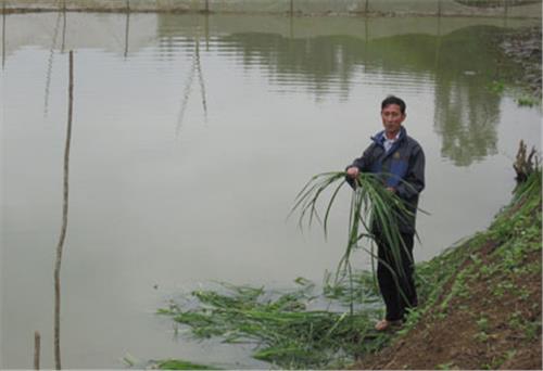 Sỏi đá cũng thành cơm