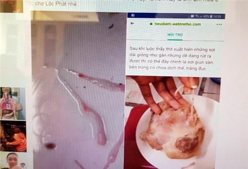 Xử phạt người đăng tin “khống” về thịt lợn nhiễm sán trên mạng xã hội
