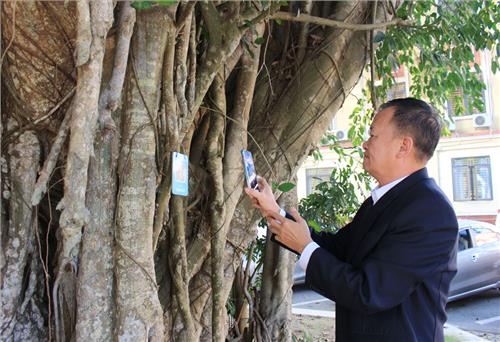 Phú Lương: Gắn mã QR cho 76 cây xanh