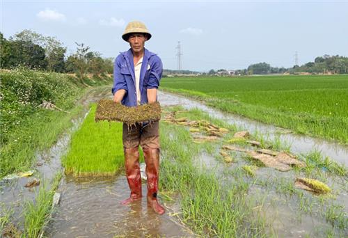 Địa phương đã làm hết trách nhiệm?