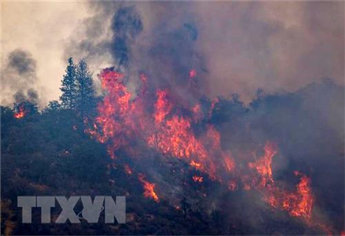 Mỹ: Đám cháy thiêu rụi 1.000ha rừng trong vòng chưa đầy 24 giờ, 2 người thiệt mạng