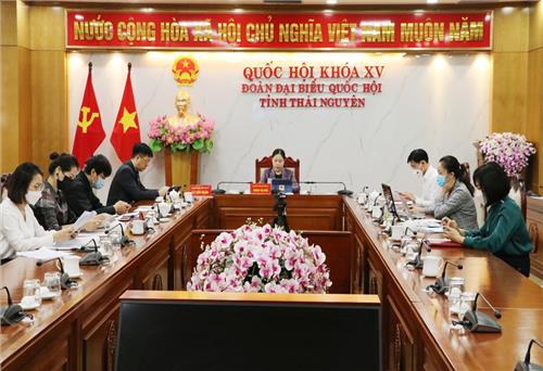 Thảo luận về dự án Luật Điện ảnh và Luật Kinh doanh bảo hiểm