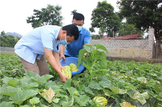 Phúc Chu - Điểm sáng học và làm theo Bác