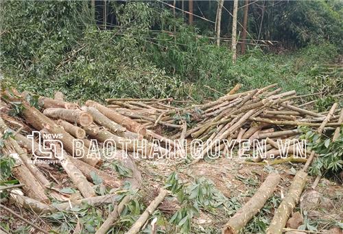 Bất cập quy hoạch, người dân gặp khó