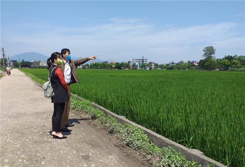 Khó khăn trong triển khai Dự án rau an toàn
