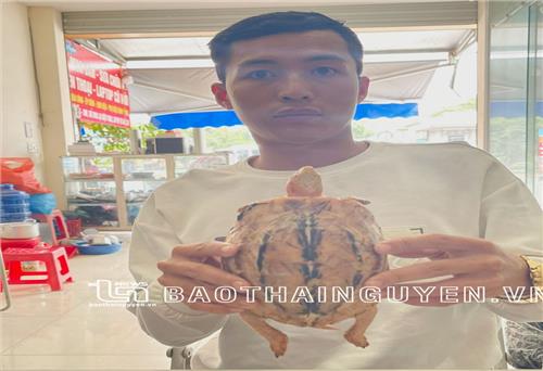 Khởi tố đối tượng bán động vật quý, hiếm