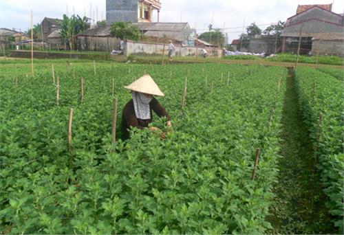Món quà cho lòng vị tha