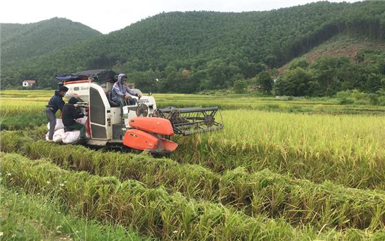 T.P Sông Công: Tỷ lệ cơ giới hóa trong khâu làm đất đạt trên 90%