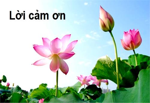 LỜI CẢM ƠN!