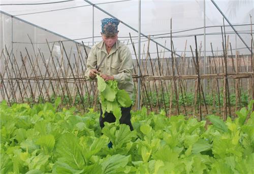 T.P Sông Công: Phấn đấu có 3 xóm đạt chuẩn nông thôn mới kiểu mẫu