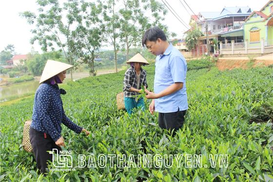 Sơn Phú xây dựng xã nông thôn mới nâng cao