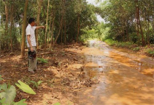 Chi nhánh Mỏ sắt Cây Thị nộp phạt trên 540 triệu đồng 