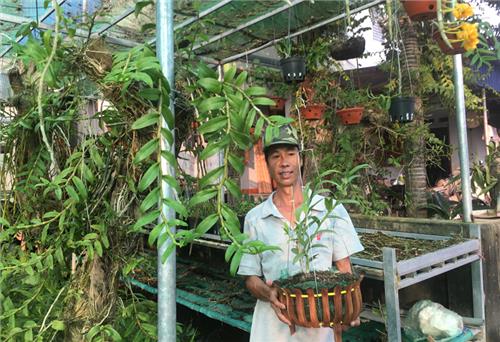 Nghị lực của một nông dân làng hoa