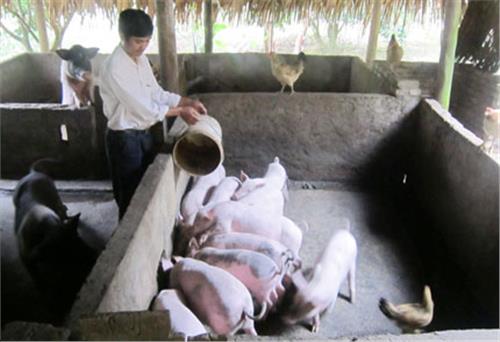 “Đảng viên đi trước, làng nước theo sau”